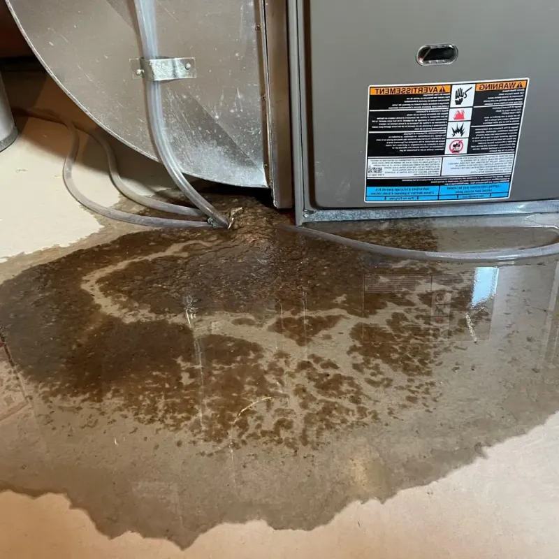 Pipe Burst and Leak Restoration in Saint Anne, IL