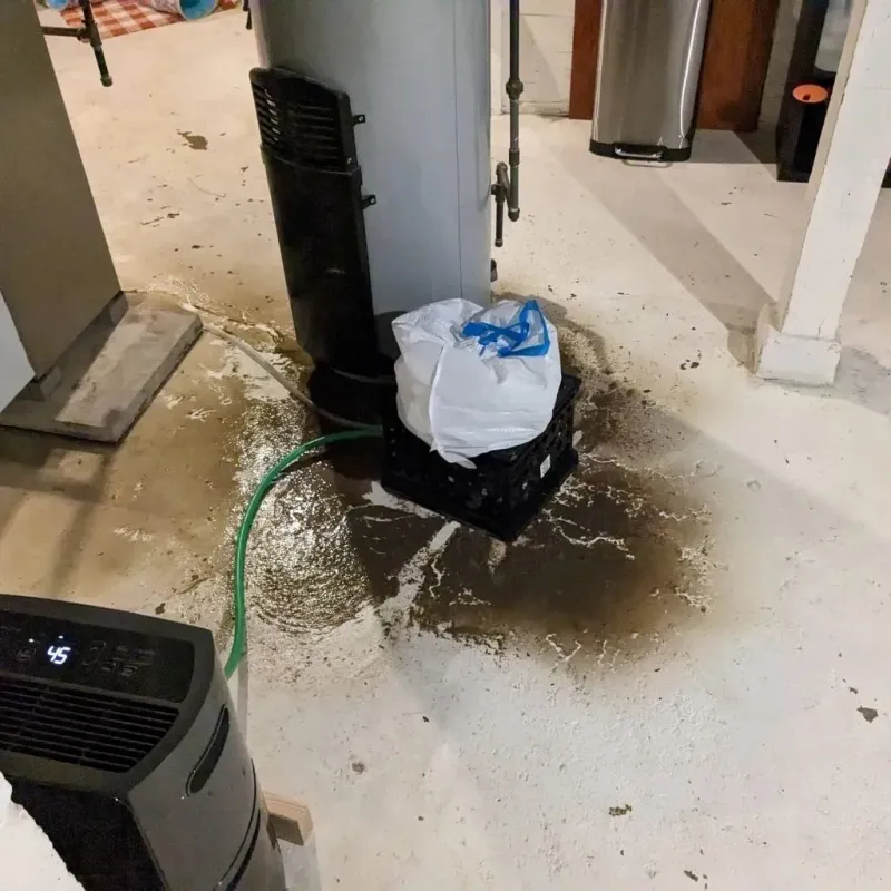 Sewage Backup Cleanup Service in Saint Anne, IL